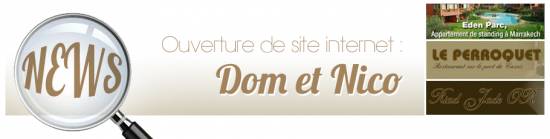 Création de mini site promotionnel à Marseille pour Dom et Nico
